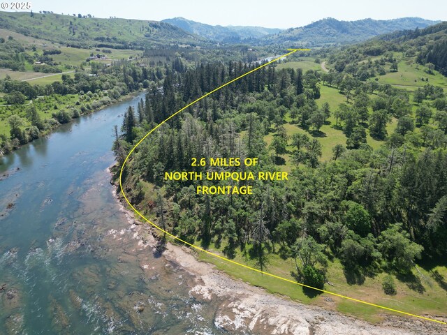1104 Rio Nes Ln, Roseburg, OR 97470 - view of property location with property boundaries highlighted, a heavily wooded area, and a water and mountain view