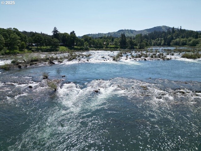 1104 Rio Nes Ln, Roseburg, OR 97470 - water view with a heavily wooded area and a mountain backdrop