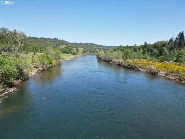 1104 Rio Nes Ln, Roseburg, OR 97470 - water view with a forest