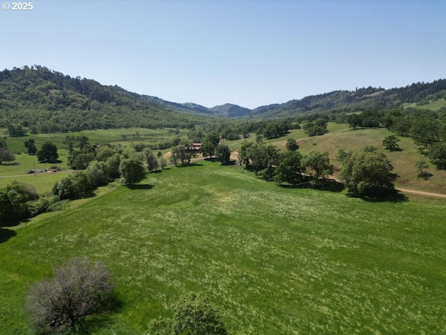 1104 Rio Nes Ln, Roseburg, OR 97470 - view of mountain background