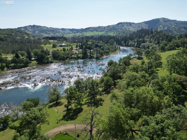 1104 Rio Nes Ln, Roseburg, OR 97470 - aerial view of property's location featuring a forest and a water and mountain view