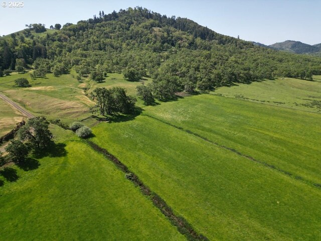 1104 Rio Nes Ln, Roseburg, OR 97470 - view of property location with a mountain backdrop, rural landscape, and a forest