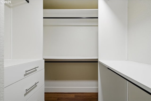 walk in closet featuring wood-type flooring