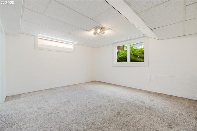 3315 SE 15th Ave, Portland, OR 97202 - basement with carpet flooring and a drop ceiling