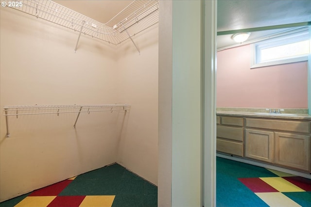 3315 SE 15th Ave, Portland, OR 97202 - walk in closet with a sink