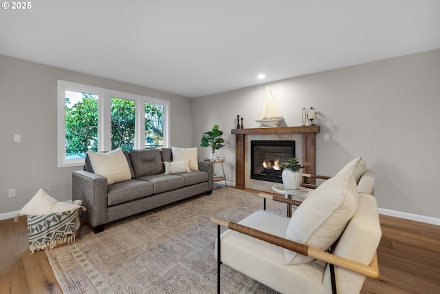 living room featuring hardwood / wood-style flooring