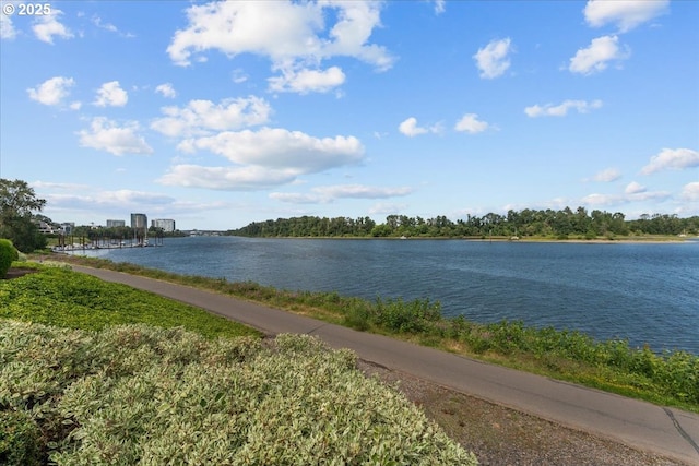 5858 S Riveridge Ln Unit 24, Portland, OR 97239 - water view