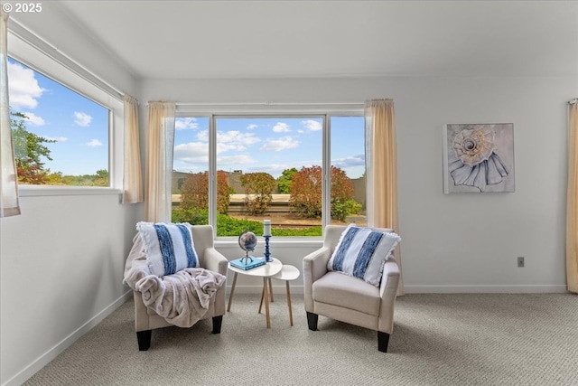 5858 S Riveridge Ln Unit 24, Portland, OR 97239 - sitting room with baseboards and carpet flooring