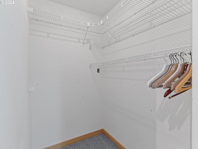 14300 NE Axford Rd, Battle Ground, WA 98604 - spacious closet featuring carpet