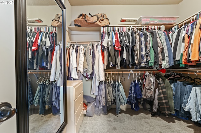1725 NE Currin Creek Dr, Estacada, OR 97023 - walk in closet featuring carpet flooring