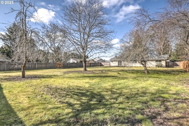 view of yard featuring a fenced backyard