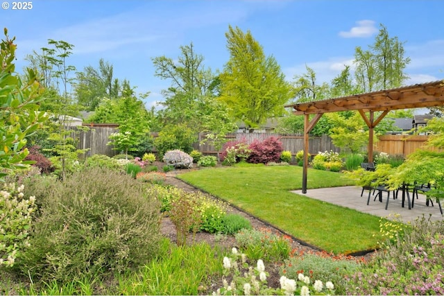view of yard featuring a fenced backyard and a patio area