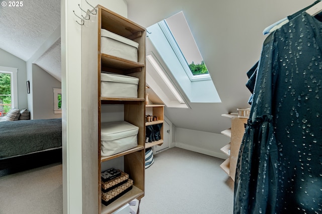 spacious closet with a skylight, vaulted ceiling, and carpet