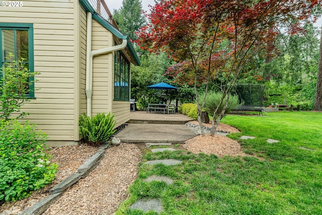view of grassy yard featuring a patio