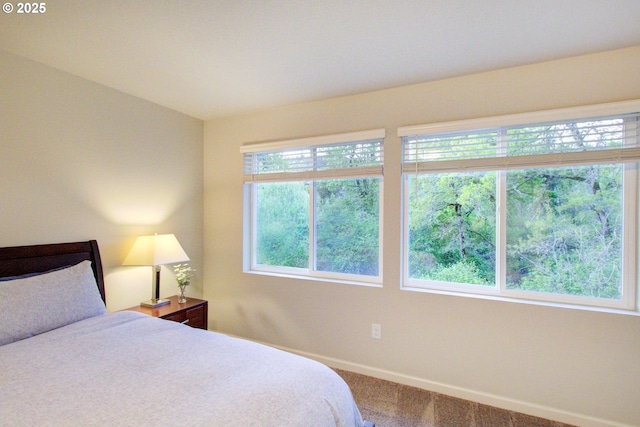 bedroom with carpet flooring and baseboards