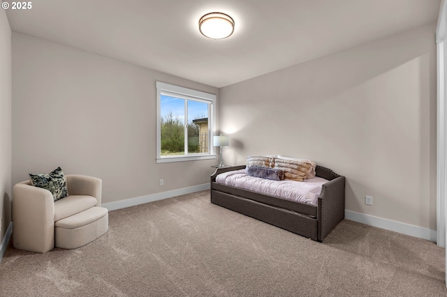 living area with carpet flooring and baseboards
