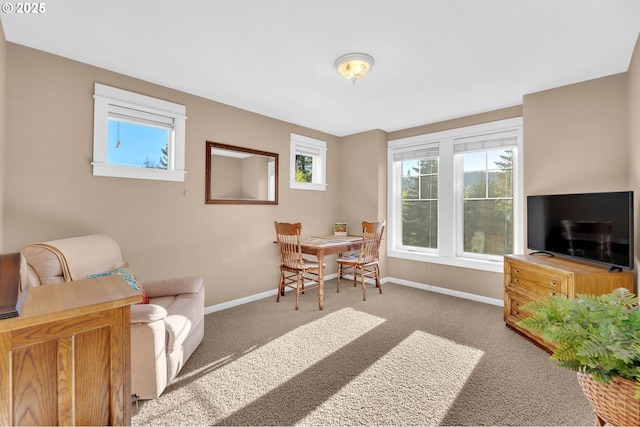 living room with carpet flooring