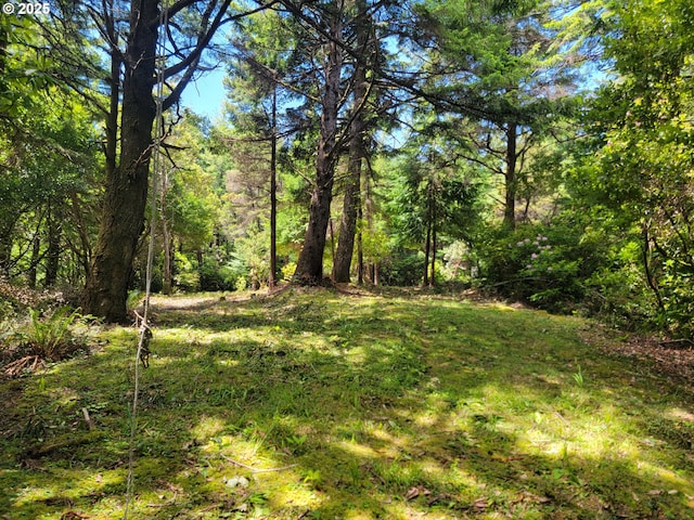 Deady St, Port Orford, OR 97465