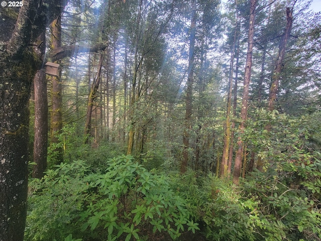 Deady St, Port Orford, OR 97465