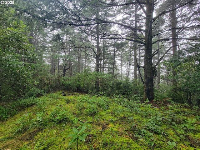 Deady St, Port Orford, OR 97465