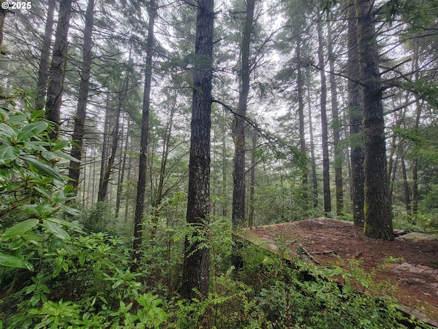 Deady St, Port Orford, OR 97465