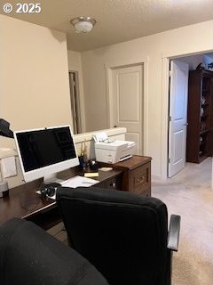 living room with light colored carpet