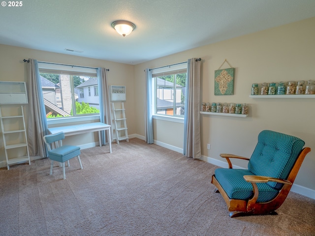 14988 SE Glenbrook Rd, Clackamas, OR 97015 - sitting room with carpet floors