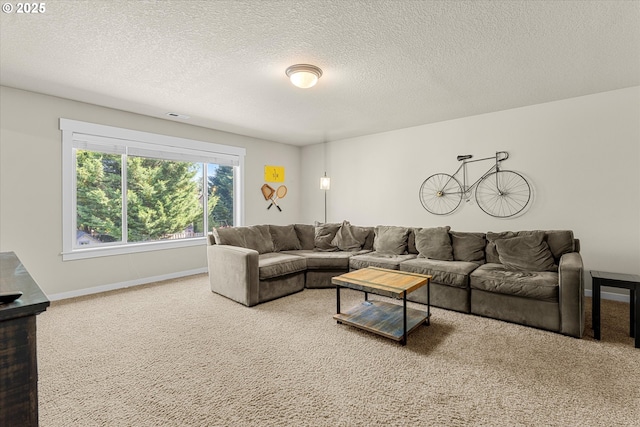 18289 SW Maidenfern Ln, Sherwood, OR 97140 - living area featuring carpet flooring, baseboards, and a textured ceiling