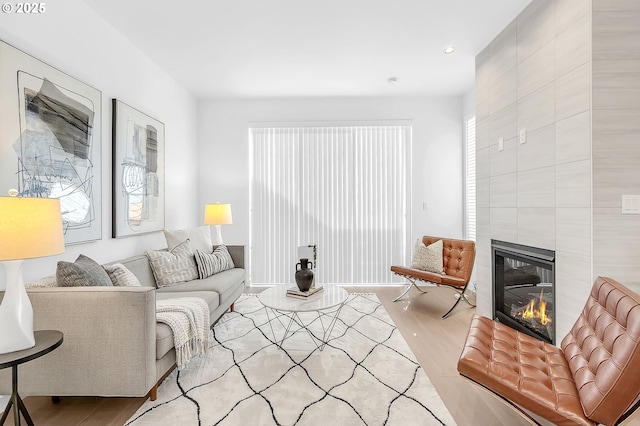 living room featuring a large fireplace and wood finished floors