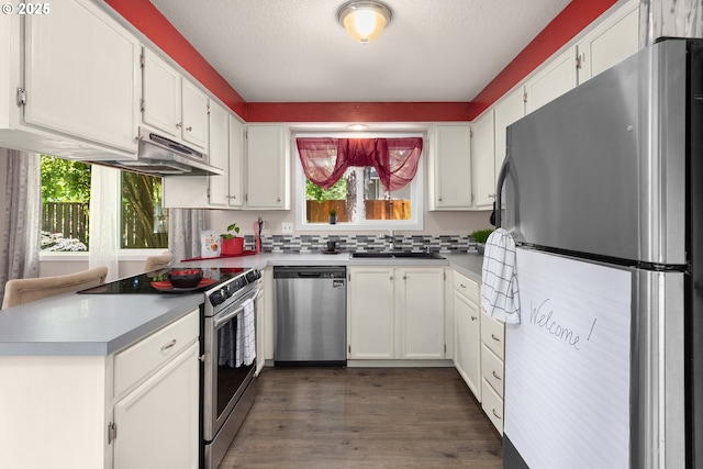 14805 SW 109th Ave, Portland, OR 97224 - kitchen featuring stainless steel appliances, healthy amount of natural light, white cabinets, and a textured ceiling