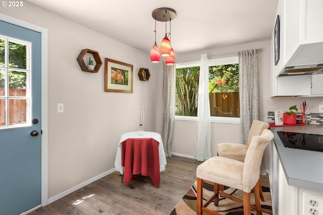 14805 SW 109th Ave, Portland, OR 97224 - sitting room featuring wood finished floors, healthy amount of natural light, and baseboards