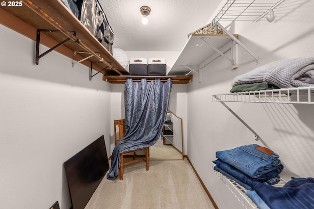 14805 SW 109th Ave, Portland, OR 97224 - spacious closet with carpet floors