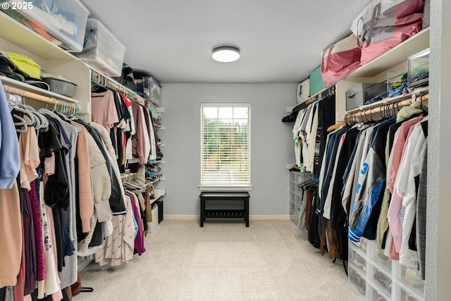 walk in closet featuring carpet