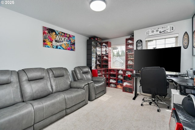 office space featuring a textured ceiling and carpet flooring