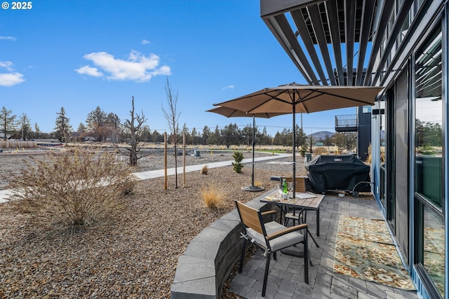 view of patio / terrace with a grill