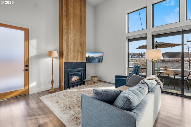 living room featuring a high ceiling and wood-type flooring