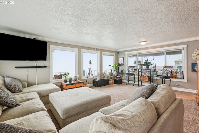 living room featuring carpet floors, ornamental molding, and a textured ceiling