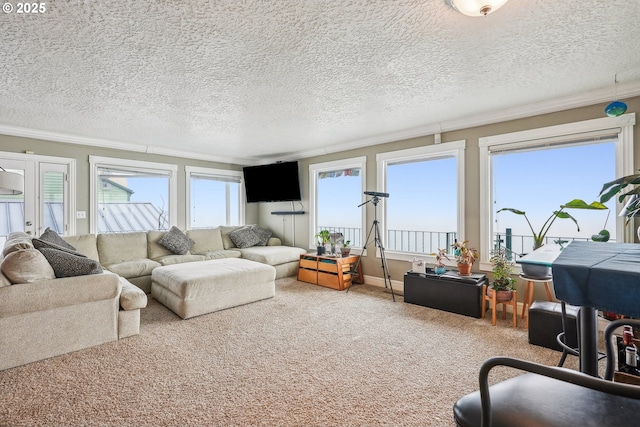 carpeted living room featuring a textured ceiling