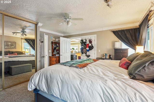 bedroom with multiple windows, ornamental molding, carpet, and a closet