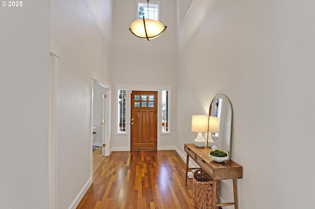 foyer featuring dark hardwood / wood-style floors and a high ceiling