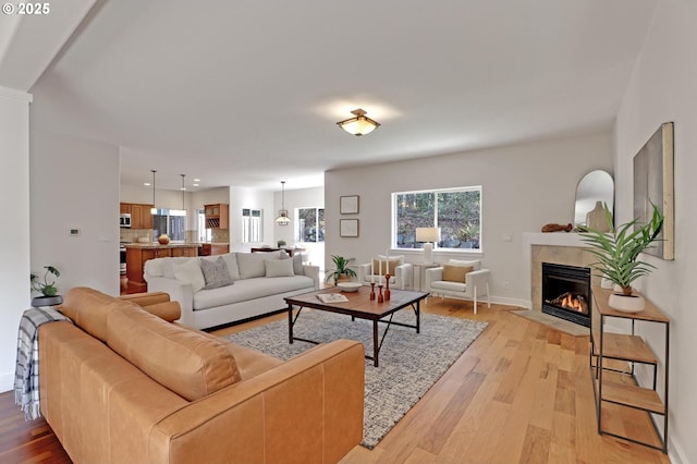 living room with light hardwood / wood-style flooring and a tile fireplace