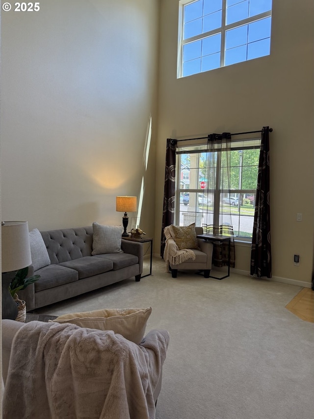 20053 SW 54th Ter, Tualatin, OR 97062 - living area with healthy amount of natural light, a high ceiling, carpet, and baseboards