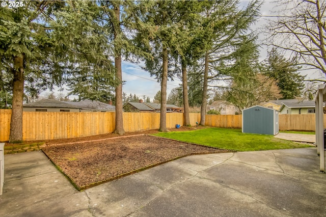 view of yard featuring a patio and a shed