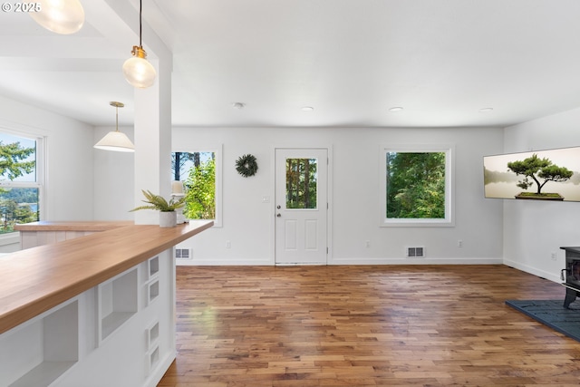 entrance foyer featuring visible vents, a wood stove, baseboards, and wood finished floors