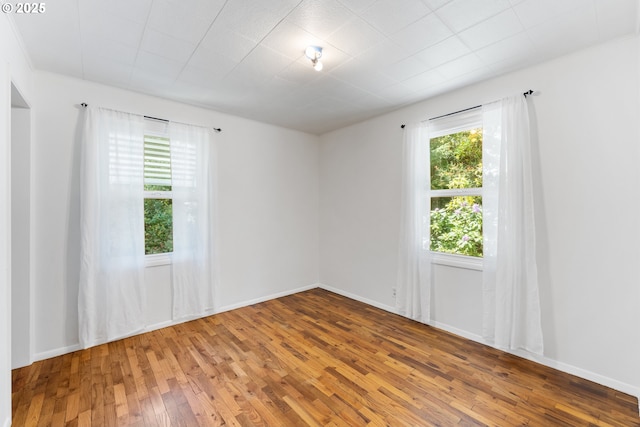 spare room with wood-type flooring