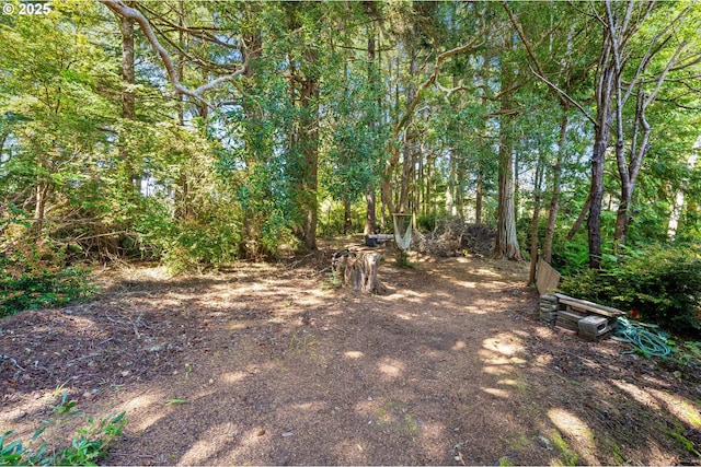 view of yard featuring a view of trees