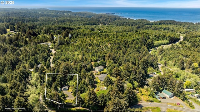 drone / aerial view featuring a wooded view
