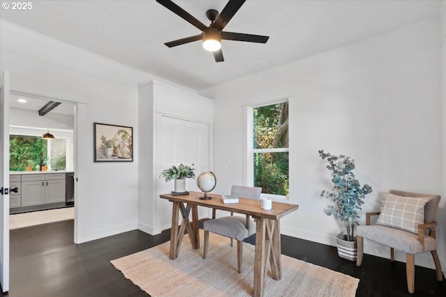 office area featuring ceiling fan and dark hardwood / wood-style floors