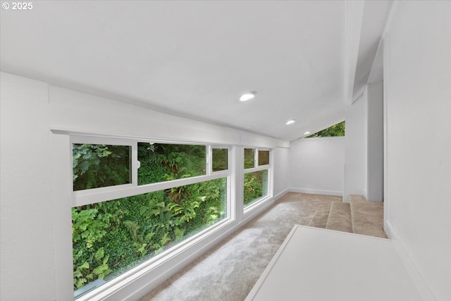 interior space featuring vaulted ceiling