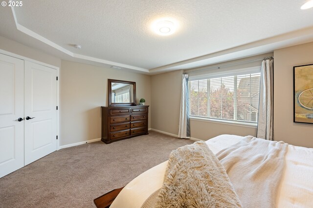 17007 NW Reuben Ln, Portland, OR 97229 - carpeted bedroom with a tray ceiling and a textured ceiling